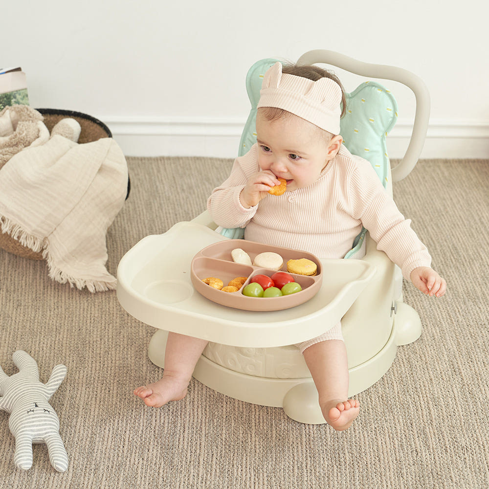 에시앙 범보의자 알러지케어 풀세트 (의자+카트+트레이+핸들+라이너)