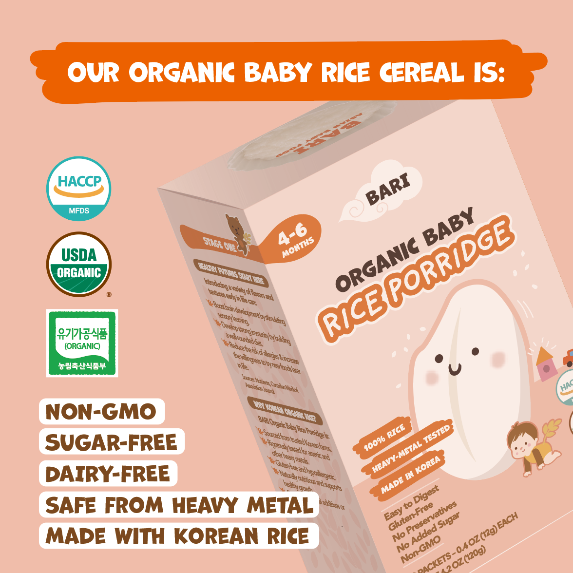 BARI Organic Rice Porridge - Full Package (쌀가루 10박스 + Gift 티백 6봉)
