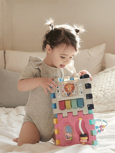 하베 브릭스 6in1 변신큐브3.jpg