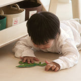 New Dinosaur Felt Collection