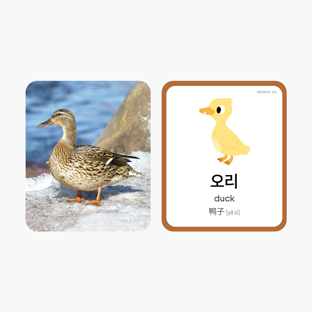 하뚱낱말카드
