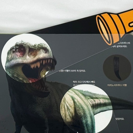 56673892115867014_1344547929.jpg